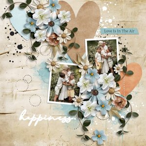 Because Love-Bundle