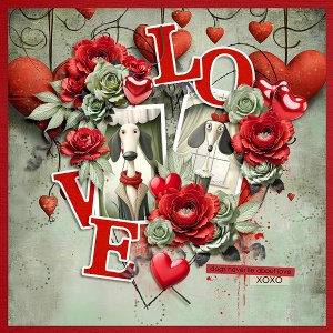 Dogs never lie about love