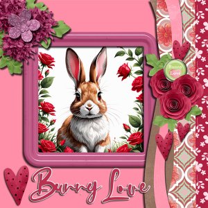 Bunny Love