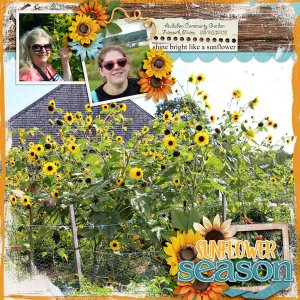 Sunflower Season