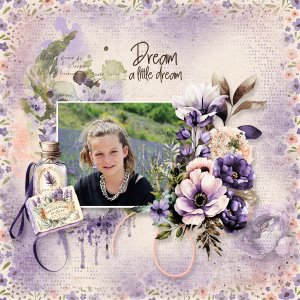 Dream a little dream