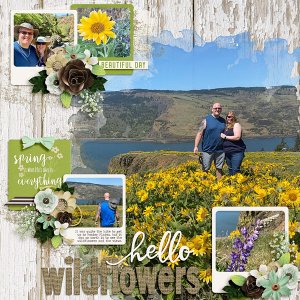 Hello Wildflowers
