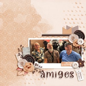 amigos
