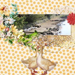 Goose Beach