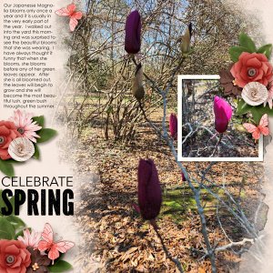 Celebrate Spring