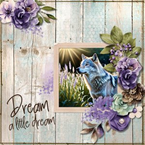 Dream A Little Dream February 2025