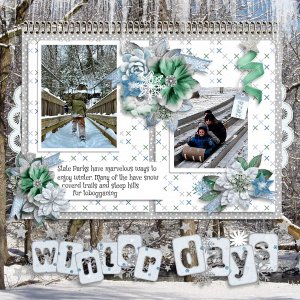 Winter at the Park