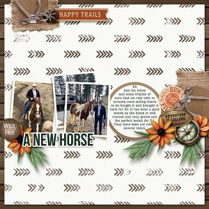 New-Horse