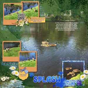 Splash