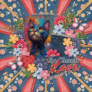 sweet cat