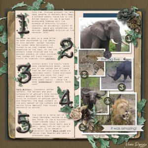 Travel Notes - Big Five