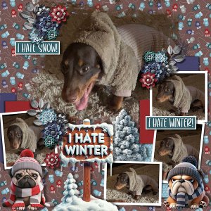 I Hate Winter