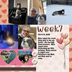 2025-week7
