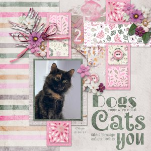 Cats Take a Message