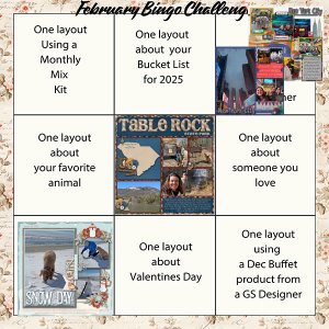 2025 February Layout Bingo Challenge Card