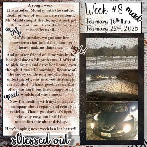 2025 Project 365 Challenge - Week 8