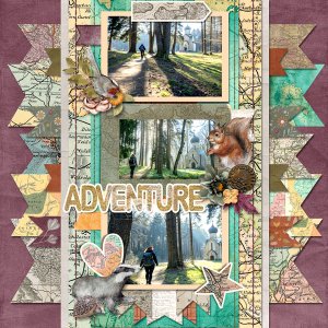 Adventure In The Woods