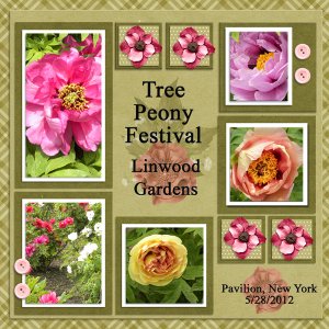 Tree Peony Festival