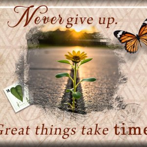 ATC 2025-017 Never Give Up