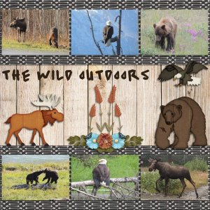 the wild outdoors_tmb.jpg