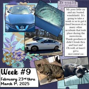 2025 Project 365 Challenge - Week 9.jpg