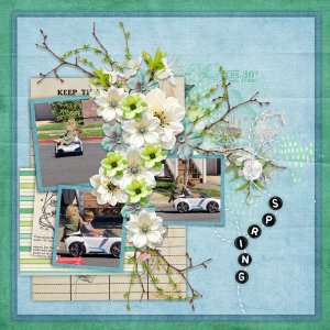 Spring Fling-CarolW 2.jpg
