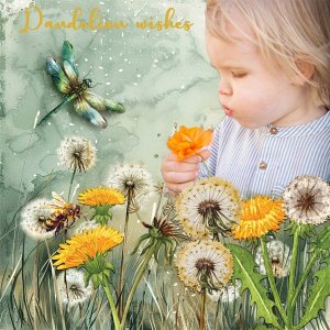 Dandelion-wishes.jpg