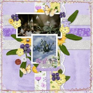 crocus.jpg