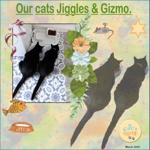 March 2025 - Recipe Challenge -Our cats.jpg