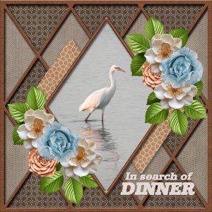 In Search of  DINNER