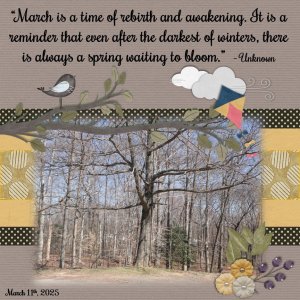 March 2025 Color Challenge.jpg