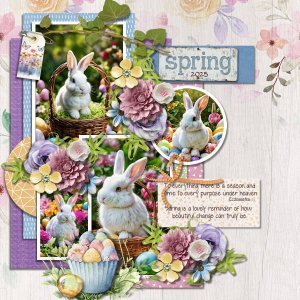 DLPatt_Spring2025_web.jpg
