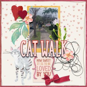 Cat-Walk-webv.jpg