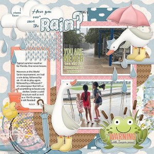 Have You Ever Seen the Rain