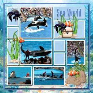 Sea World