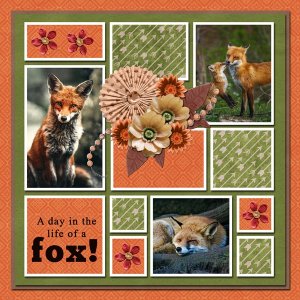 A Day in the Life of a Fox