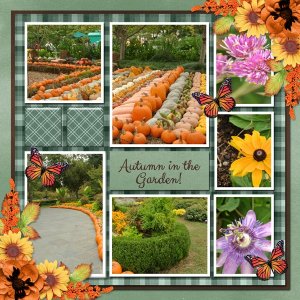 Autumn in the garden!