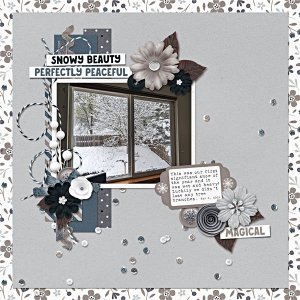 2025-01-TMS_SnowyWInter-KatL.jpg