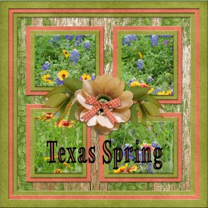 Texas Spring