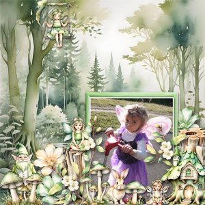 Little Fairy