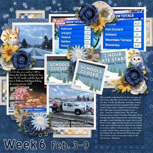 Week 6 1