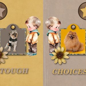 TOUGH CHOICES