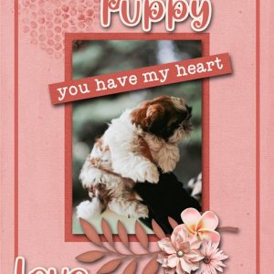 Puppy Love