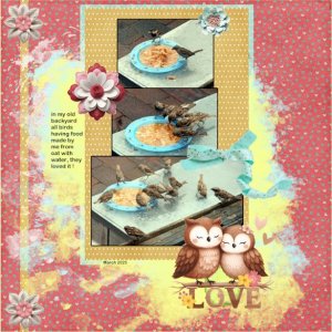 March 2025-Documenting Your Life-Feeding the birds.jpg