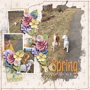 Spring is in the air