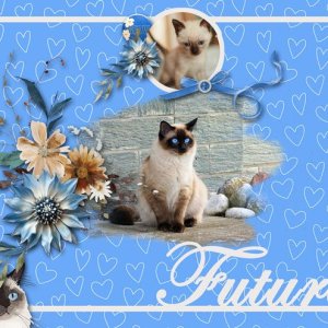 Future