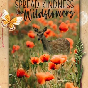 ...like-wildflowers