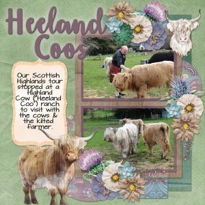 Heeland-Coos-Tinci_2025MARTC2.jpg