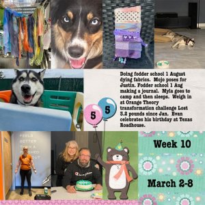 2025-week10.jpg