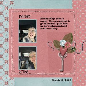 2025-03-14-mojo-camp.jpg